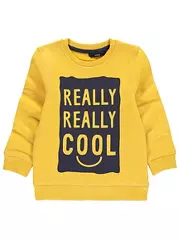 Really Cool Sweatshirt